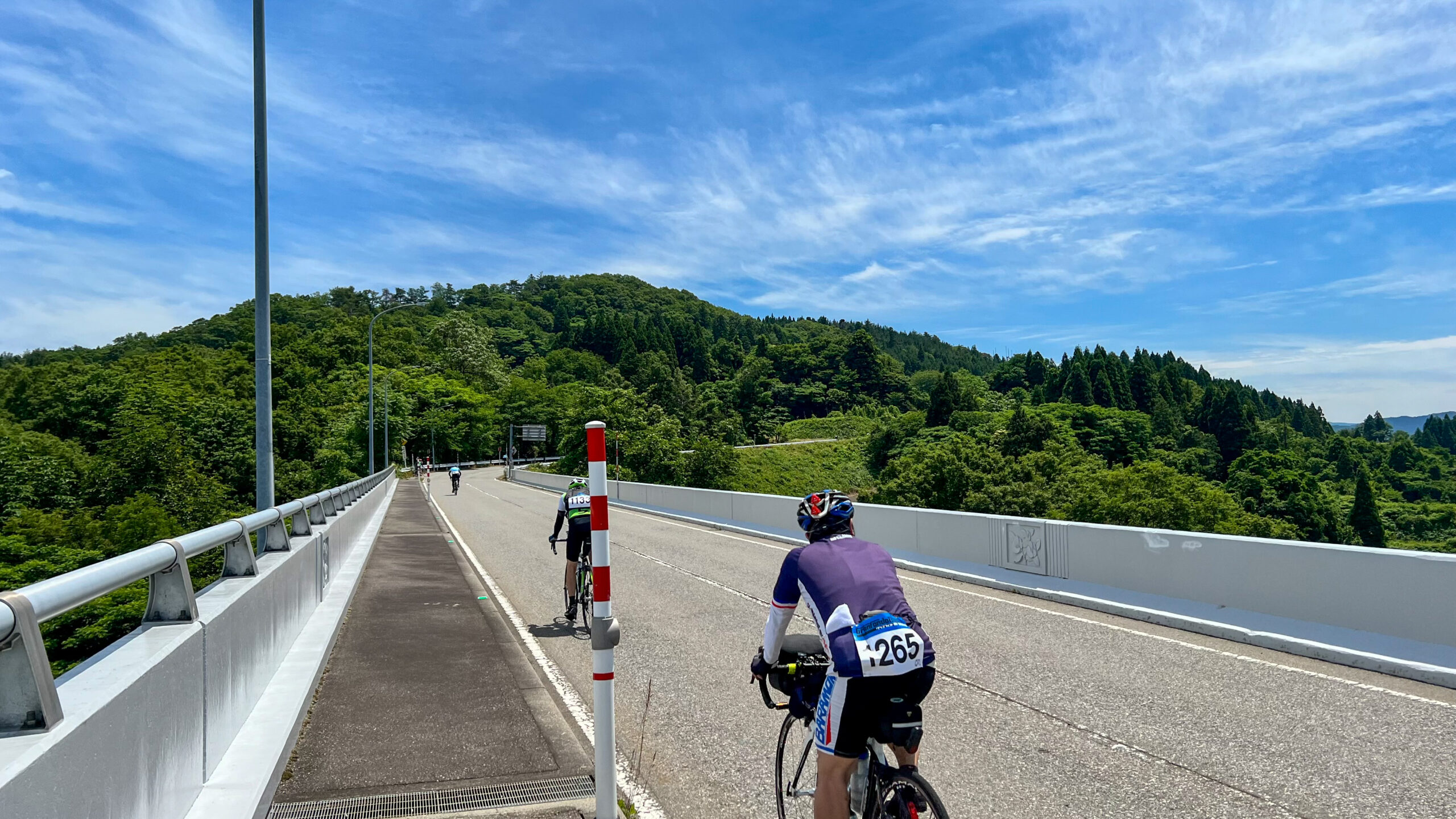 富山の自然を感じながらコースを走る参加者